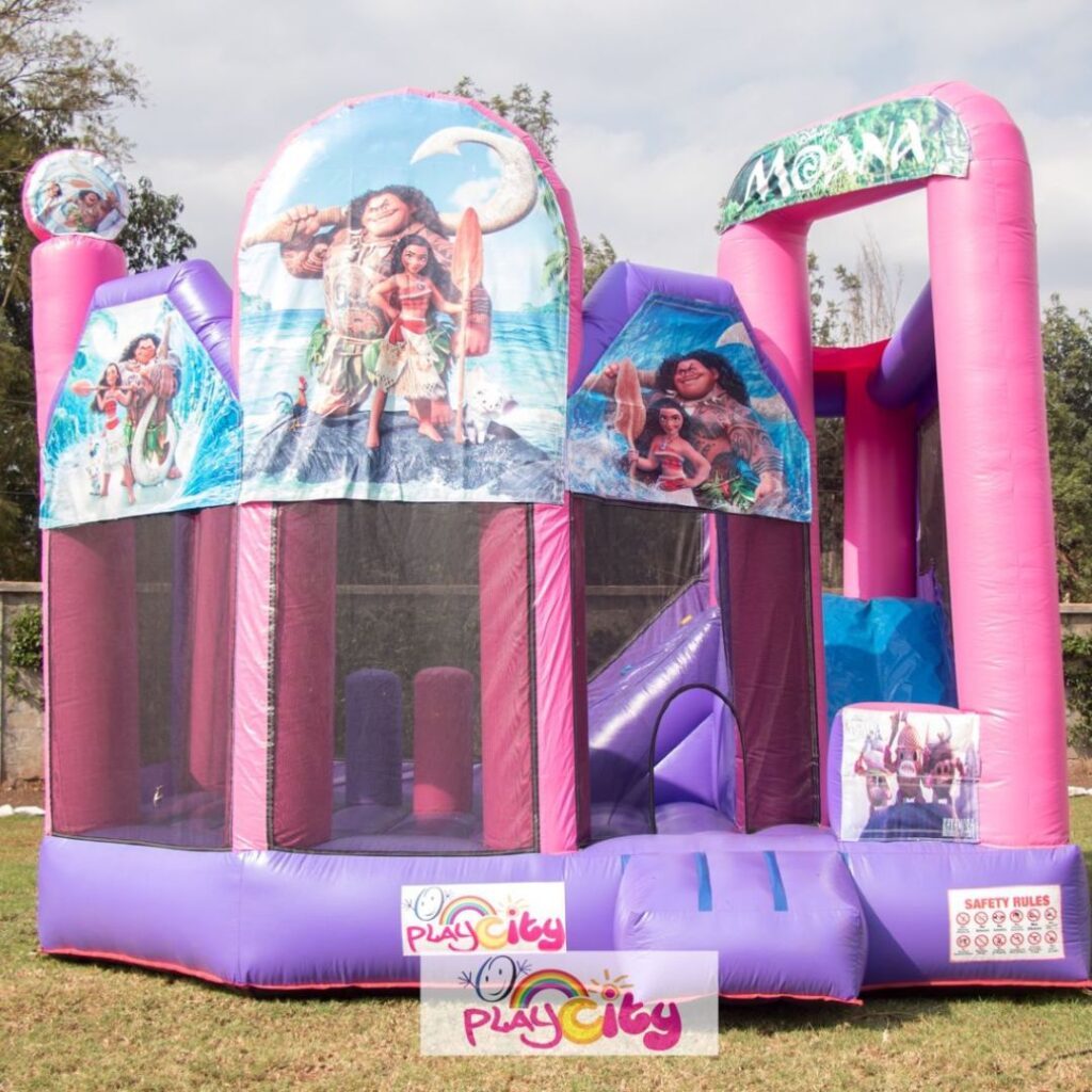 Bouncy Castle for hire (3)