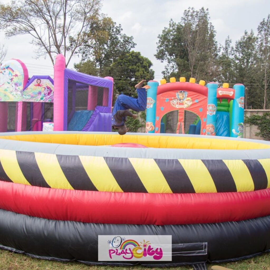 Bouncy Castle for hire (4)